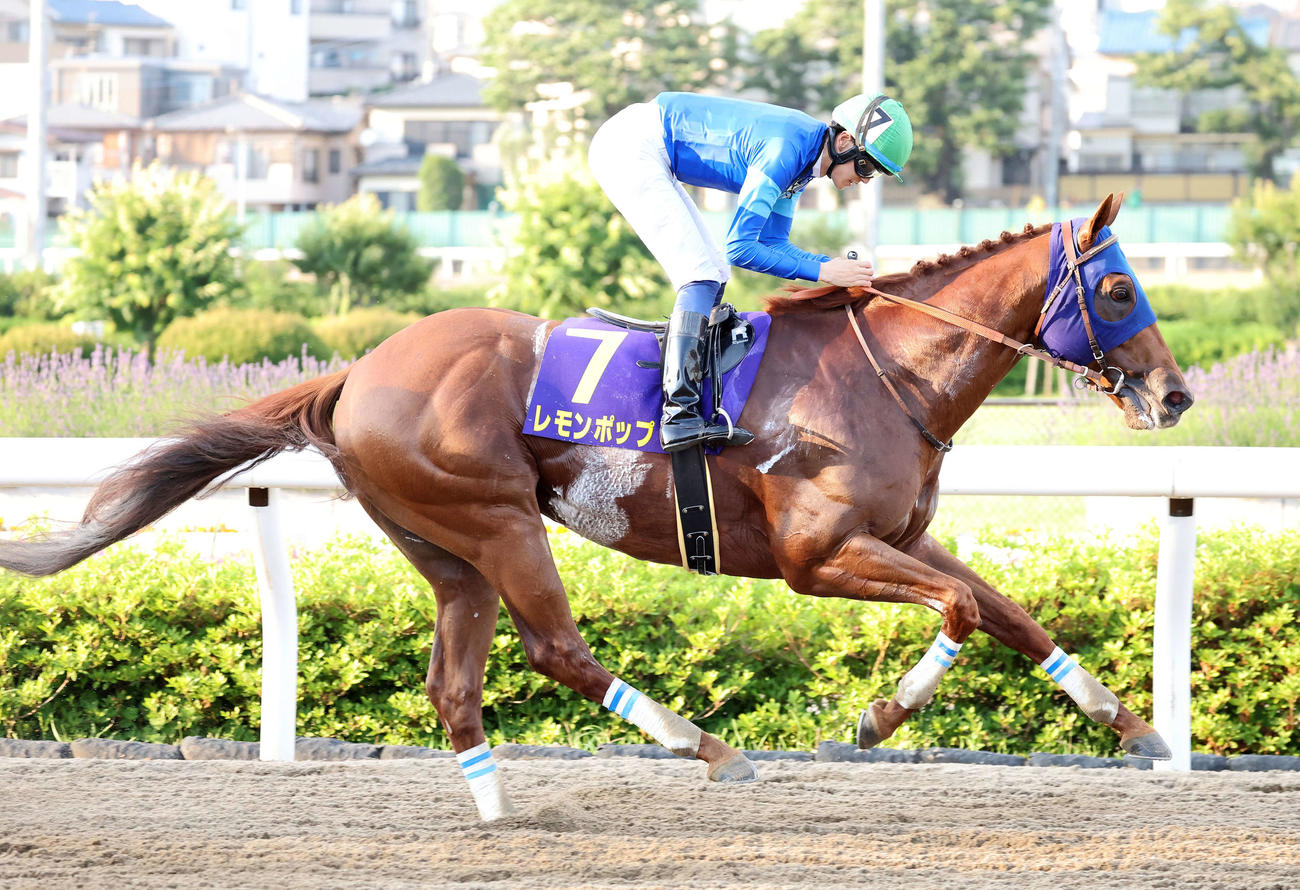 さきたま杯を制したレモンポップと坂井瑠星騎手（撮影・鈴木正人）