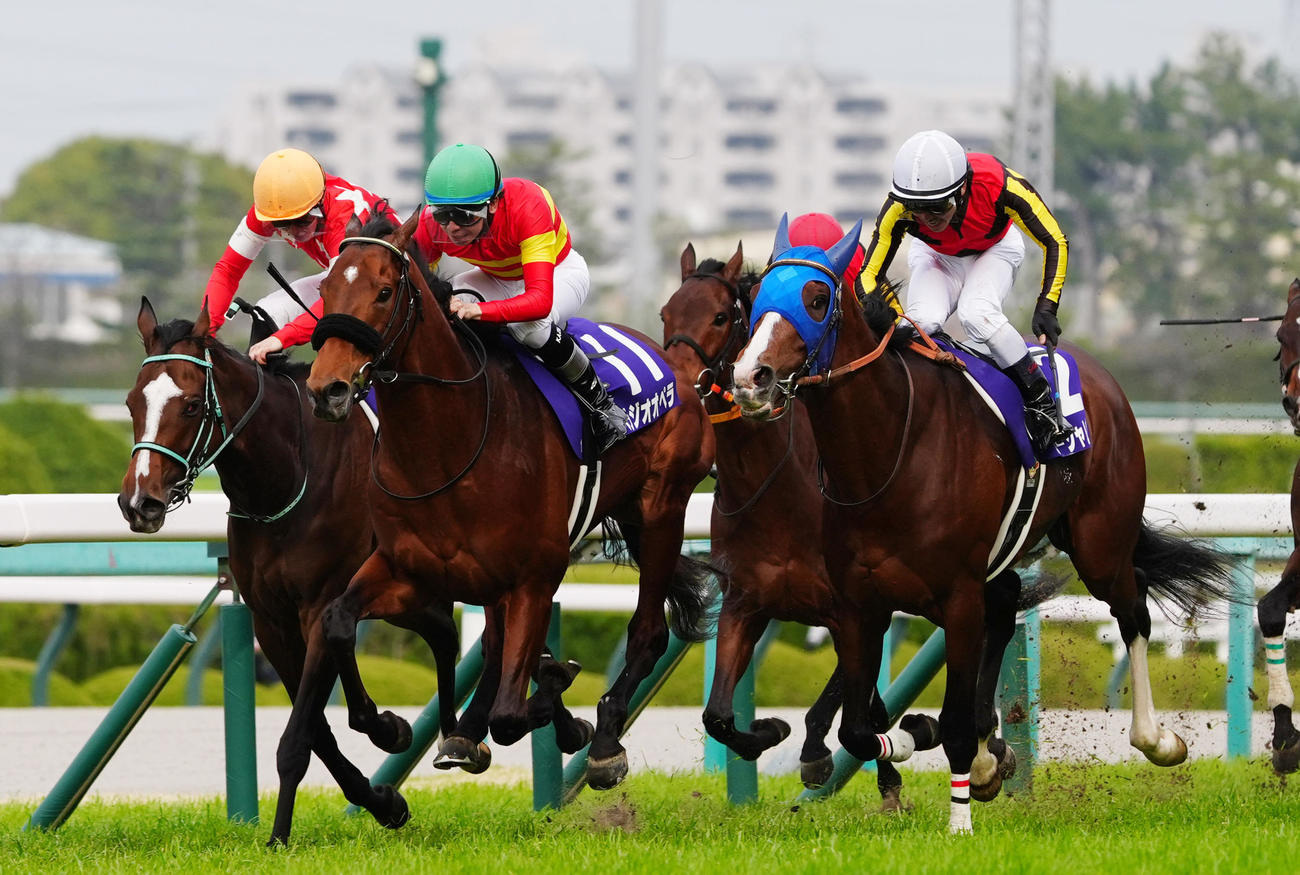 大阪杯2着に敗れたローシャムパーク（右）。中央は勝ったベラジオオペラ