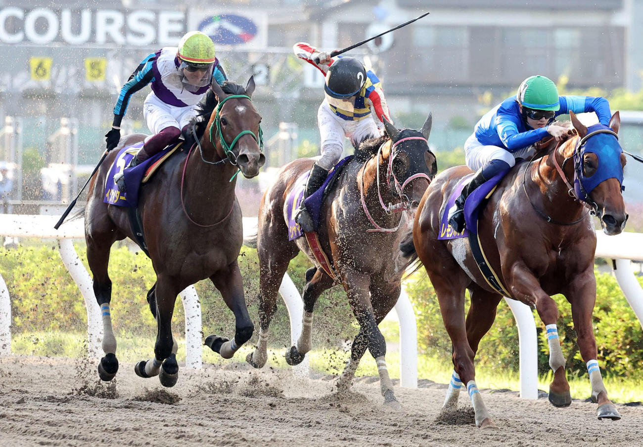 さきたま杯2着に敗れたイグナイター（左）。右は勝ったレモンポップ（撮影・鈴木正人）