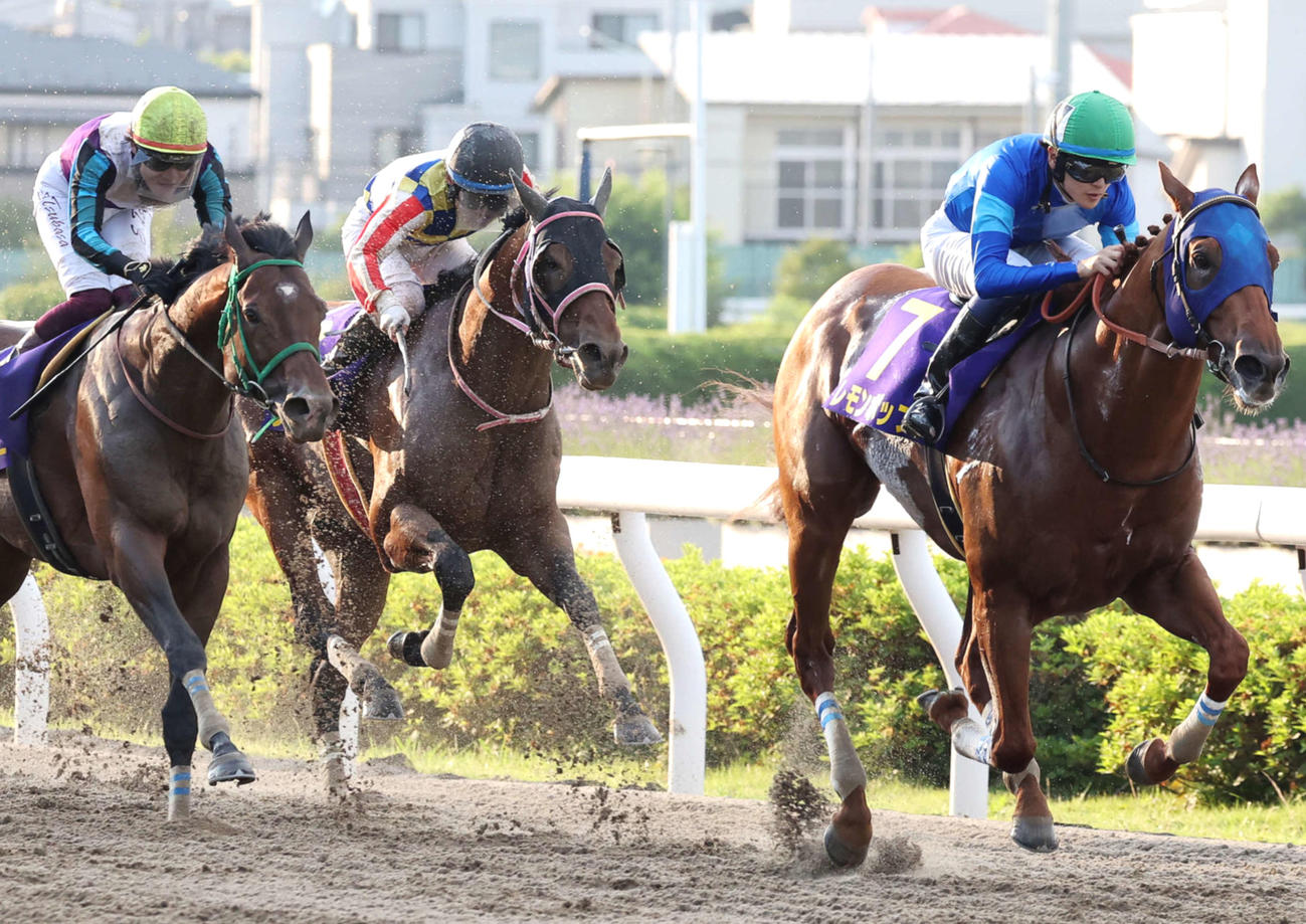 さきたま杯3着に敗れたシャマル（中央）。右は勝ったレモンポップ（撮影・鈴木正人）