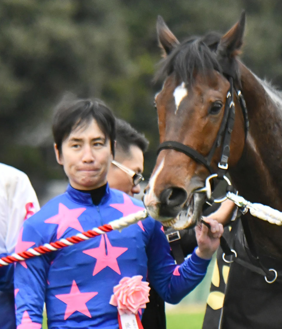 19年中山大障害を制したシングンマイケルと金子光希騎手