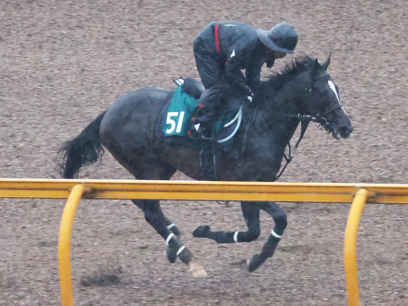 6月18日、CWコースで調整するエリキング