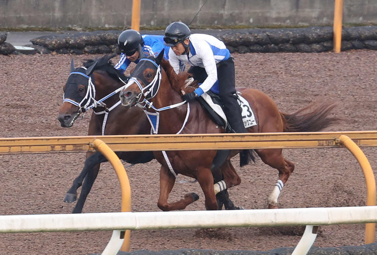 CWコースにて併せ馬で追い切るキングズソード（左）とセラフィックコール