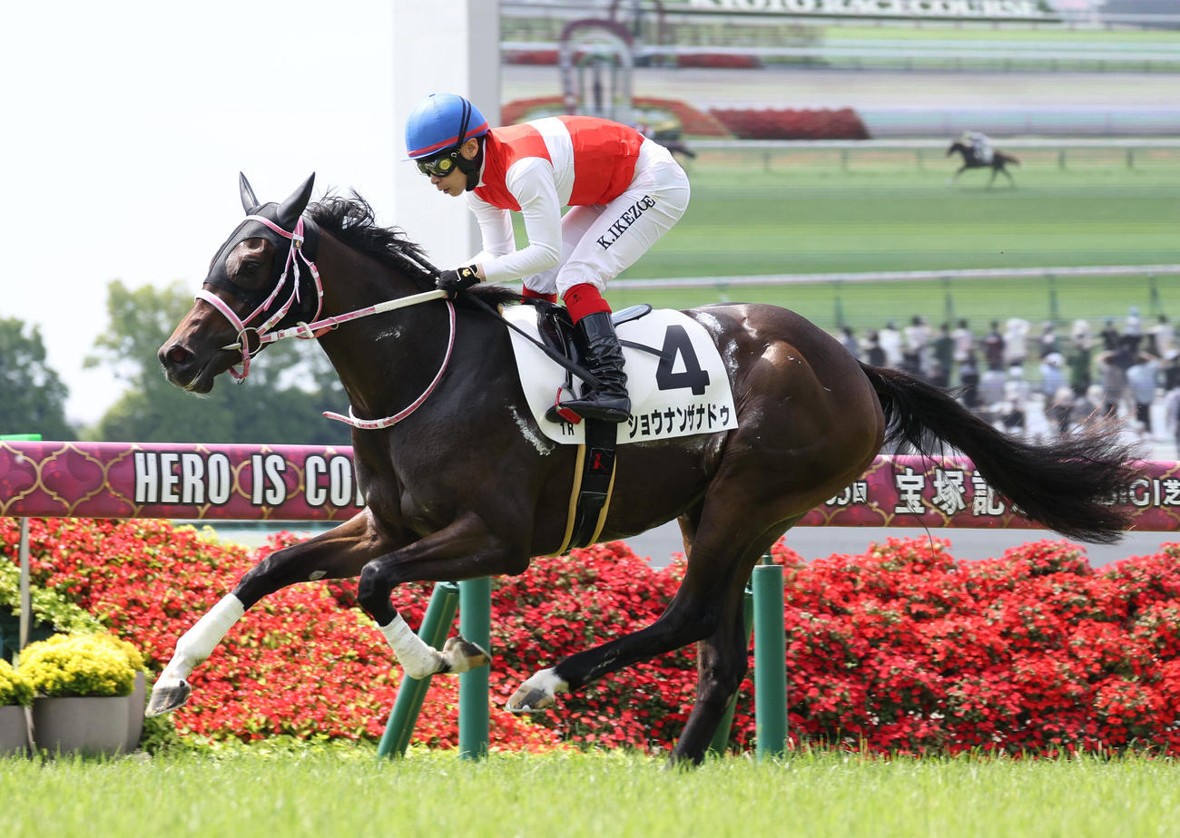 京都1R・2歳未勝利を快勝したショウナンザナドゥ（撮影・白石智彦）