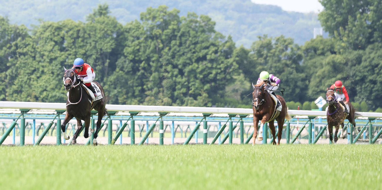 京都1R・2歳未勝利を快勝したショウナンザナドゥ（左）（撮影・白石智彦）