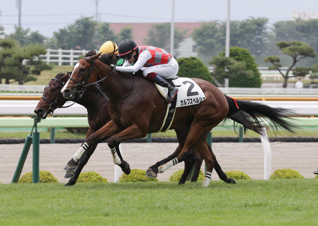 デビュー戦を制したカルプスペルシュと鮫島駿騎手
