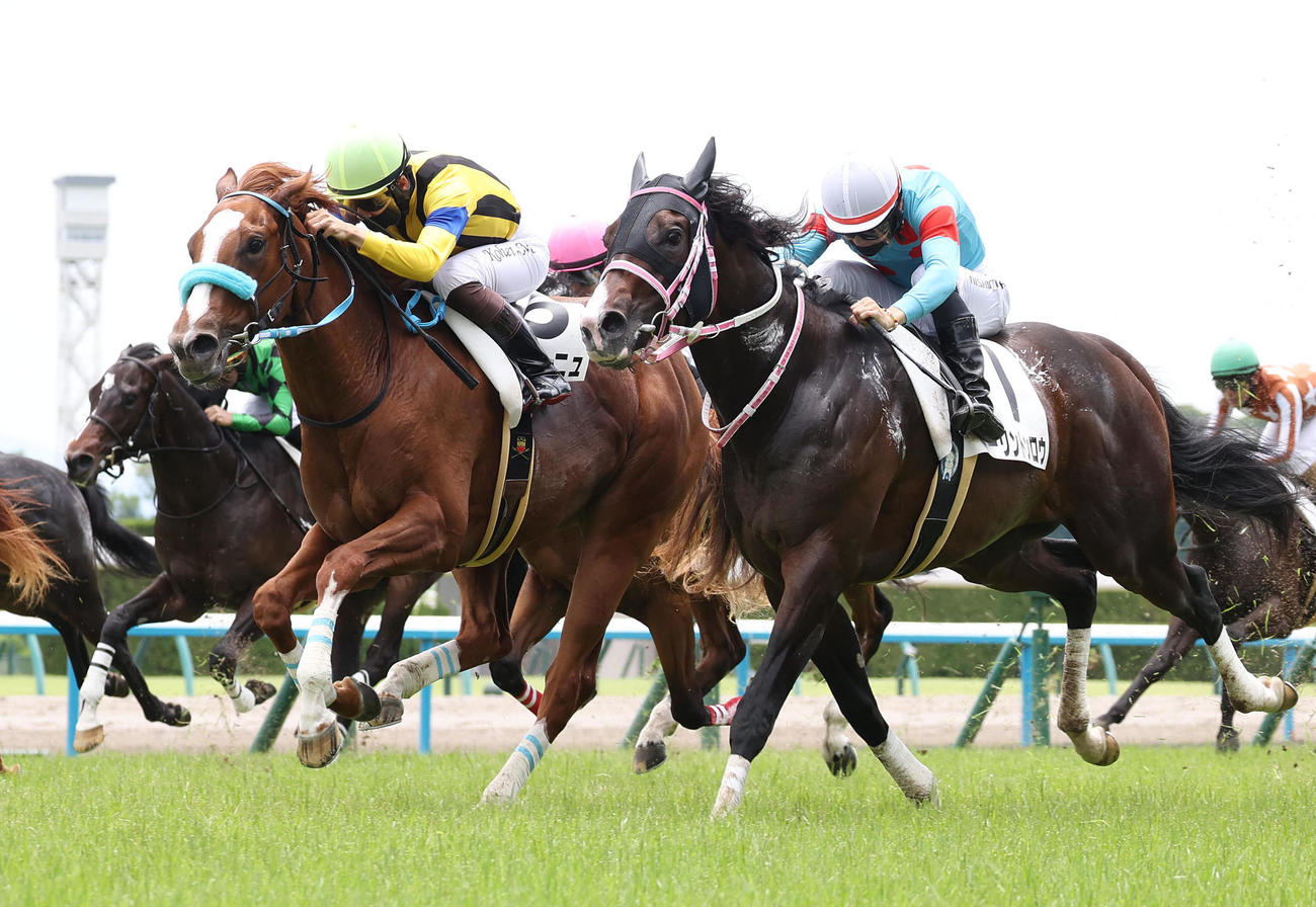 京都5R、直線外から伸びて新馬戦を制したラプラーニュ（左）（撮影・白石智彦）