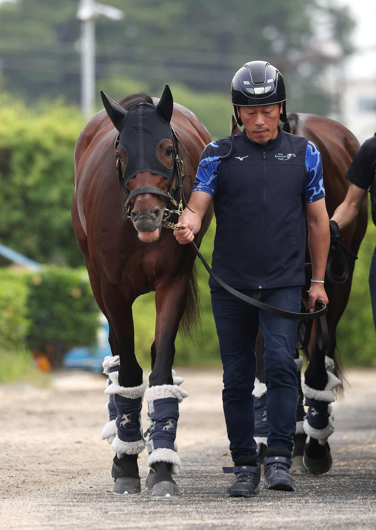 20日、厩舎周りで運動するブローザホーン