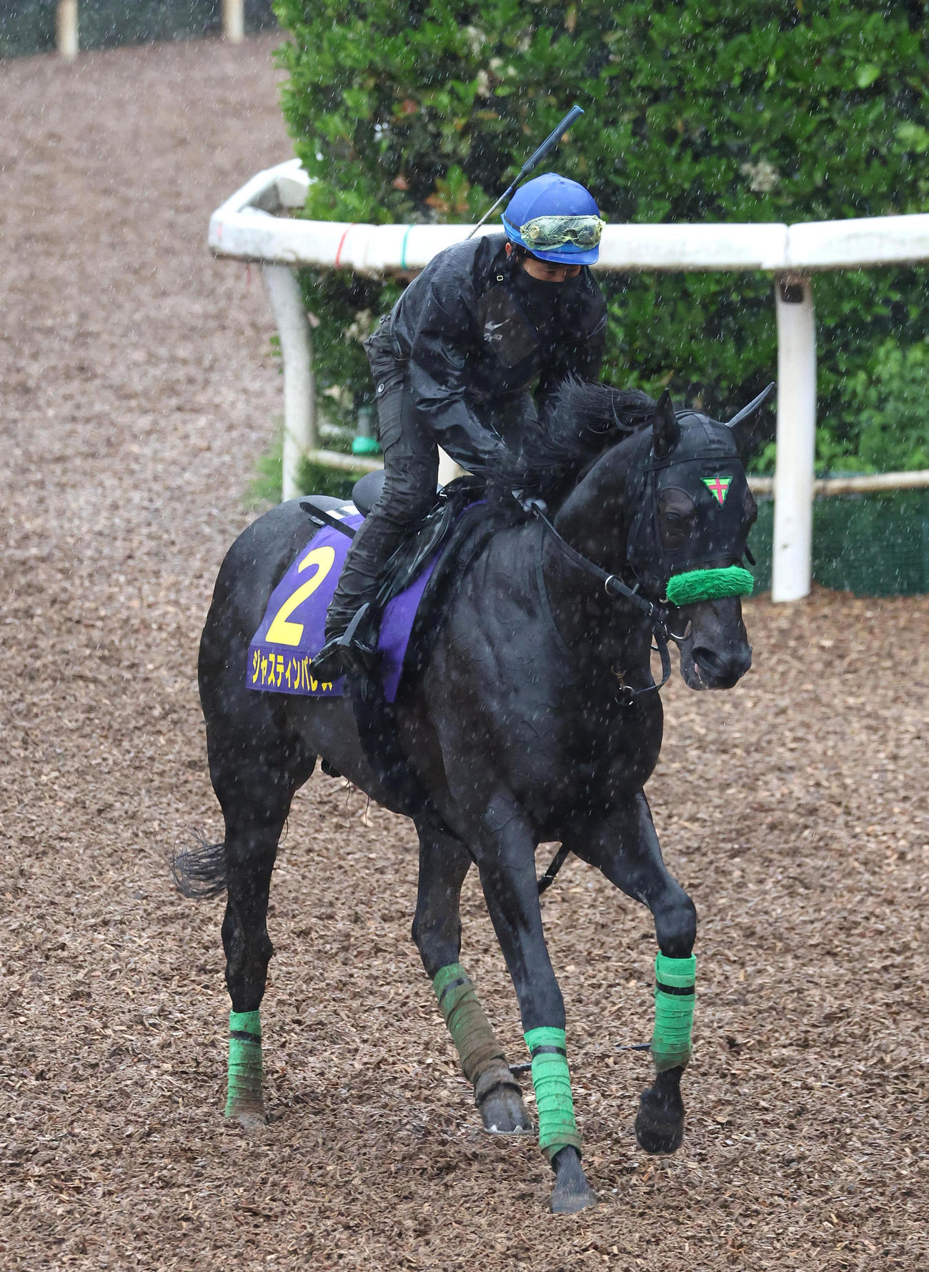 ジャスティンパレス（2024年6月18日撮影）