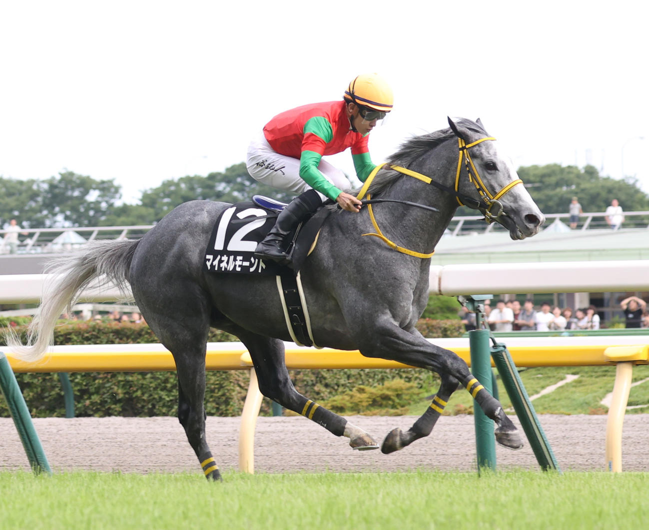 東京11R、江の島Sを制したマイネルモーントと石川騎手（撮影・柴田隆二）