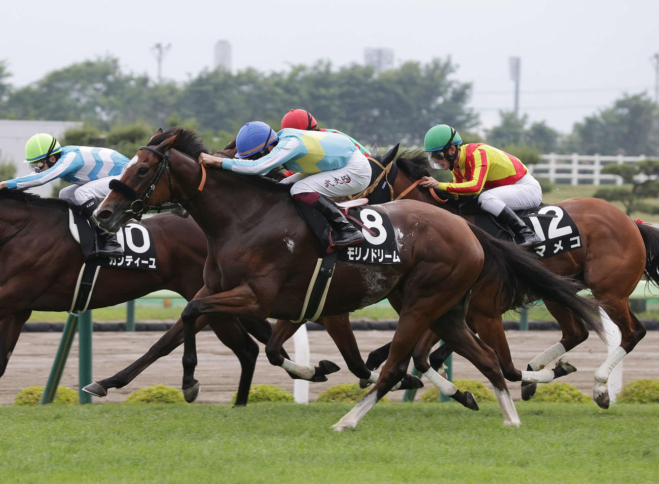 函館11R、青函ステークスを制したモリノドリームと横山武騎手