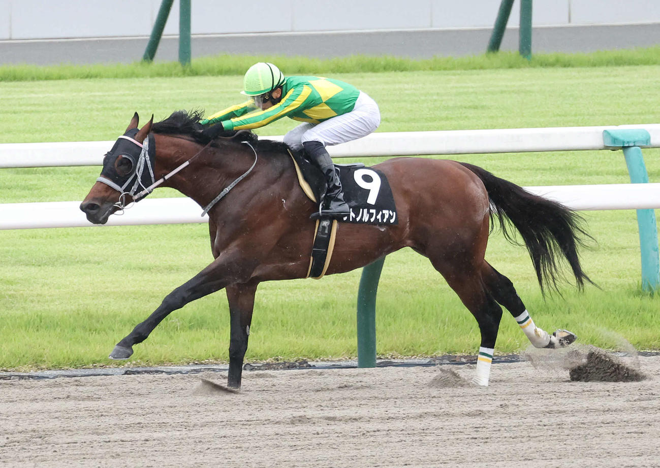 京都11R、直線抜け出して天保山Sを制したサトノルフィアン（撮影・白石智彦）