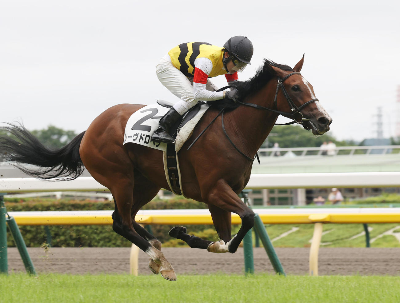 東京1Rを勝利したレーヴドロペラと丸田恭介騎手（撮影・柴田隆二）