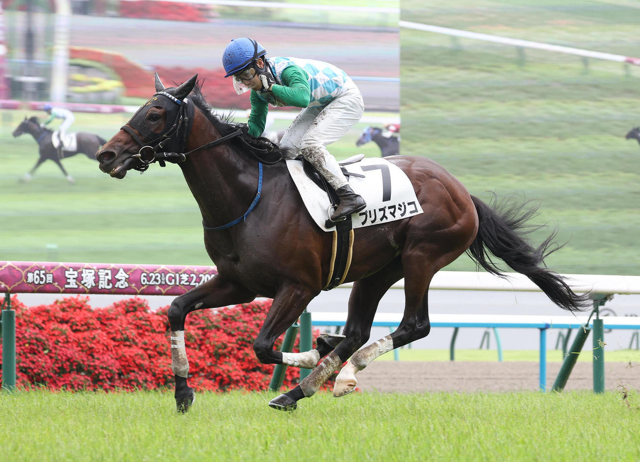 京都4R、3歳未勝利を勝ち上がったプリズマジコ（撮影・白石智彦）