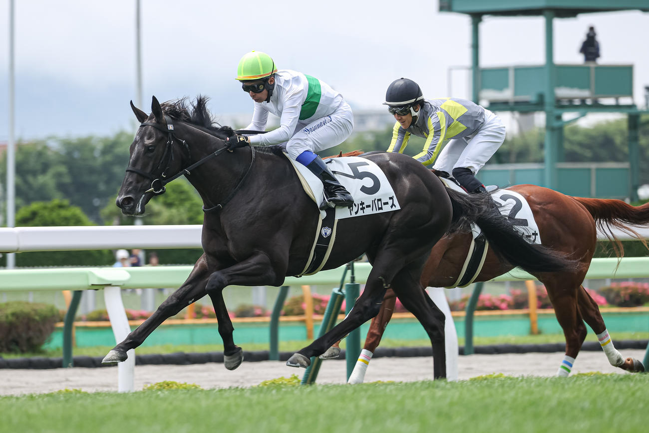 デビュー戦を制したヤンキーバローズと岩田康騎手（撮影・村野早祐）