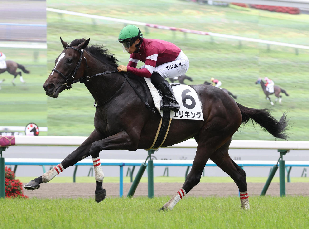 京都5R新馬戦を快勝したエリキング（撮影・白石智彦）