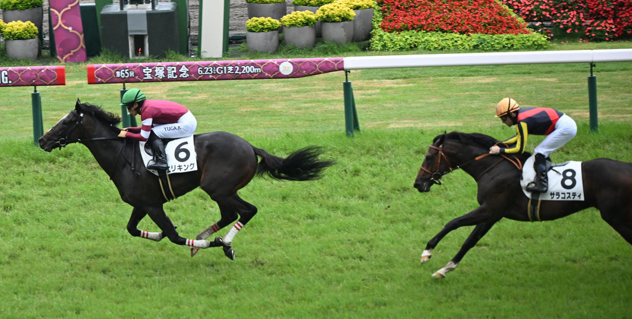 京都5R新馬戦を快勝したエリキング（左）、2着サラコスティ（撮影・和賀正仁）