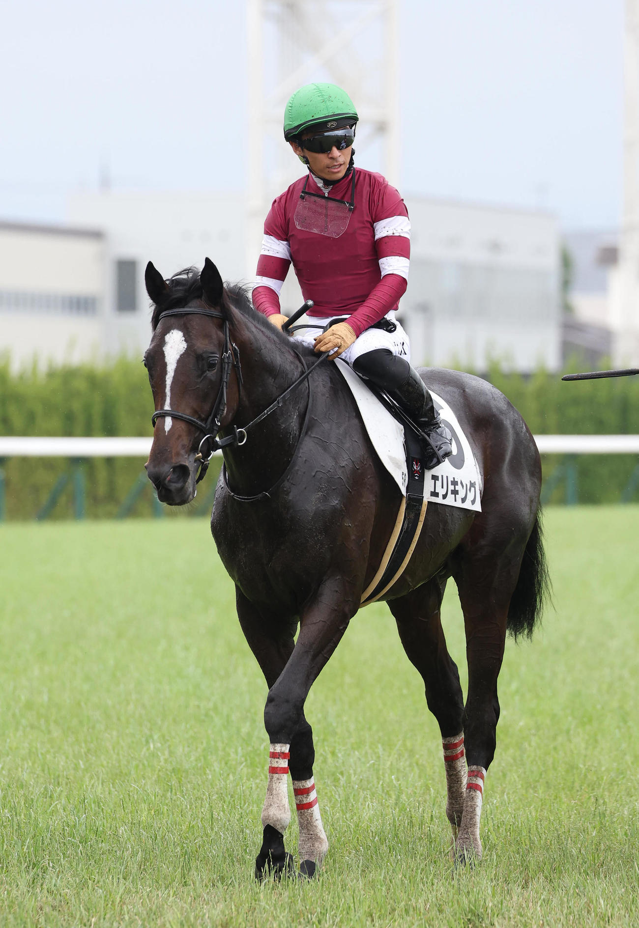 京都5R新馬戦を快勝したエリキング（撮影・白石智彦）