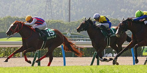 北九州記念を制したジャスパークローネ(左)と団野騎手(撮影・冨田成美)=2023年8月20日、小倉競馬場