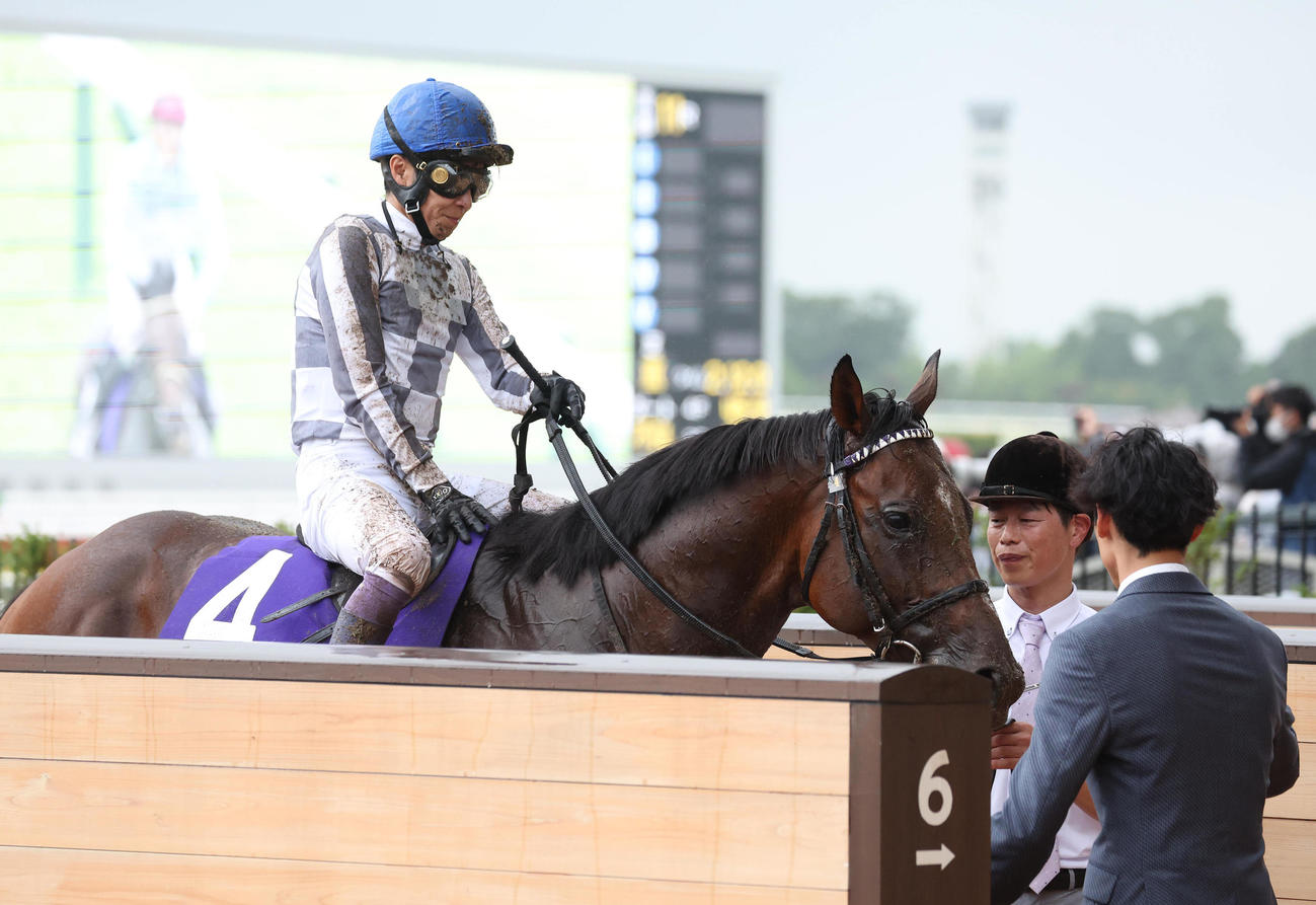 宝塚記念、6着に敗れた1番人気のドウデュースと武豊騎手（撮影・白石智彦）