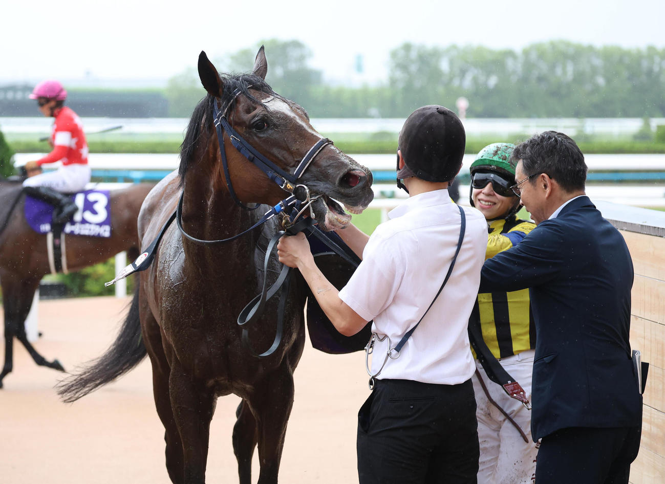 宝塚記念2着に入ったソールオリエンス（撮影・白石智彦）