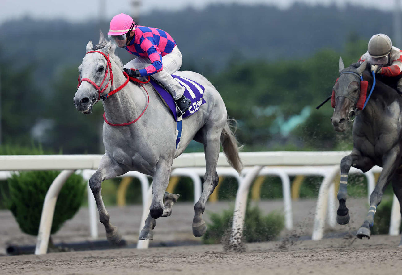みちのく大賞典を制したヒロシクン（写真提供・岩手県競馬組合）