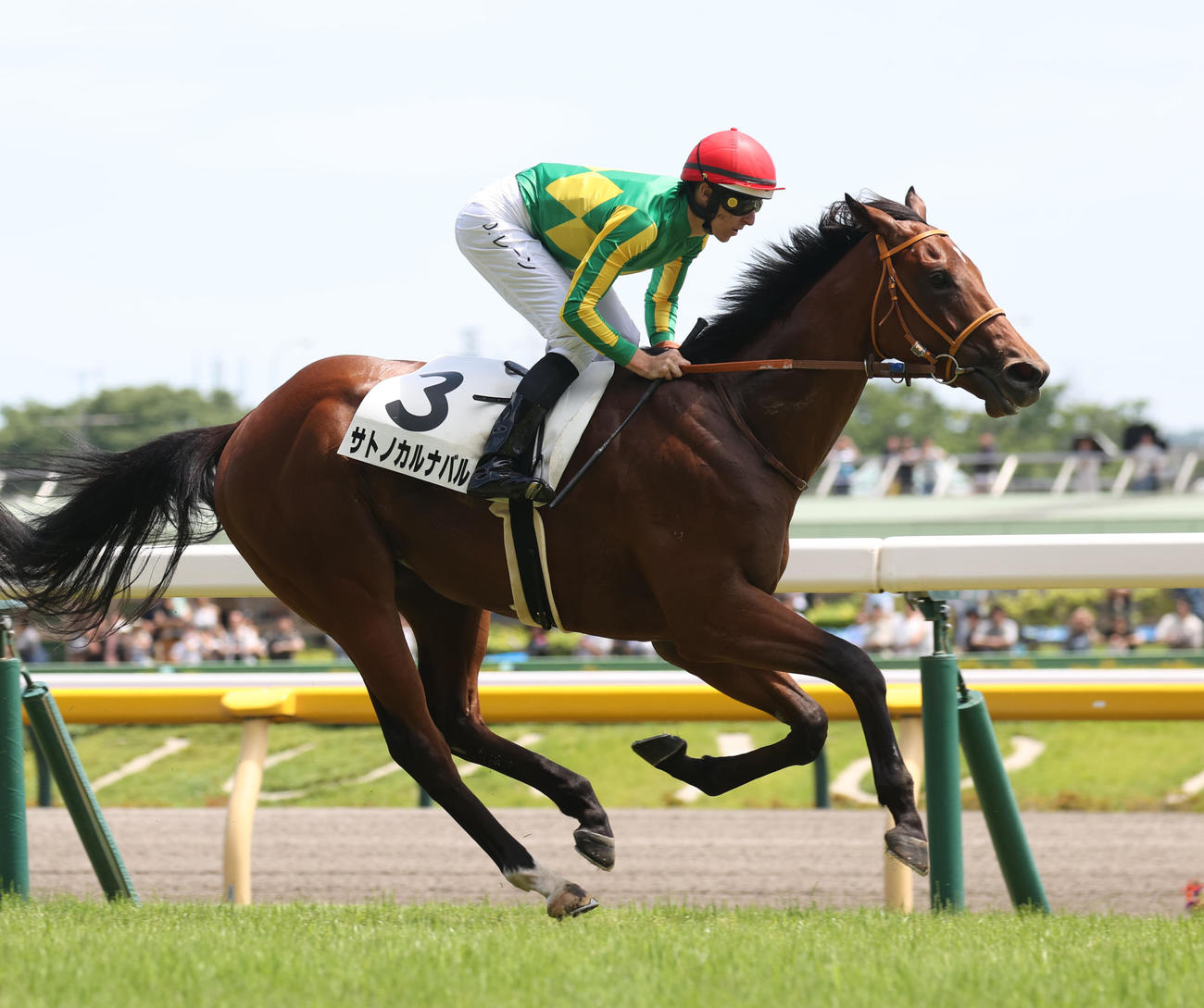 22日、東京6R新馬戦を制したサトノカルナバルとレーン騎手