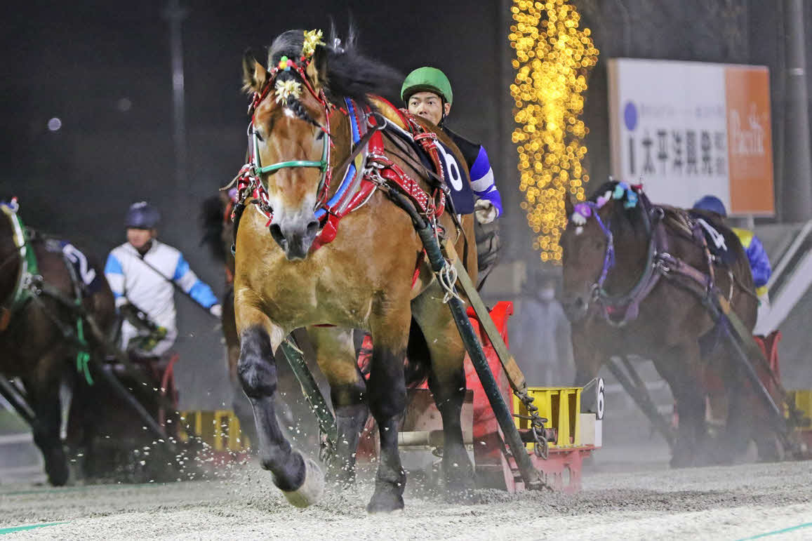 柏林賞を制したタカラキングダム（写真提供・ばんえい十勝）