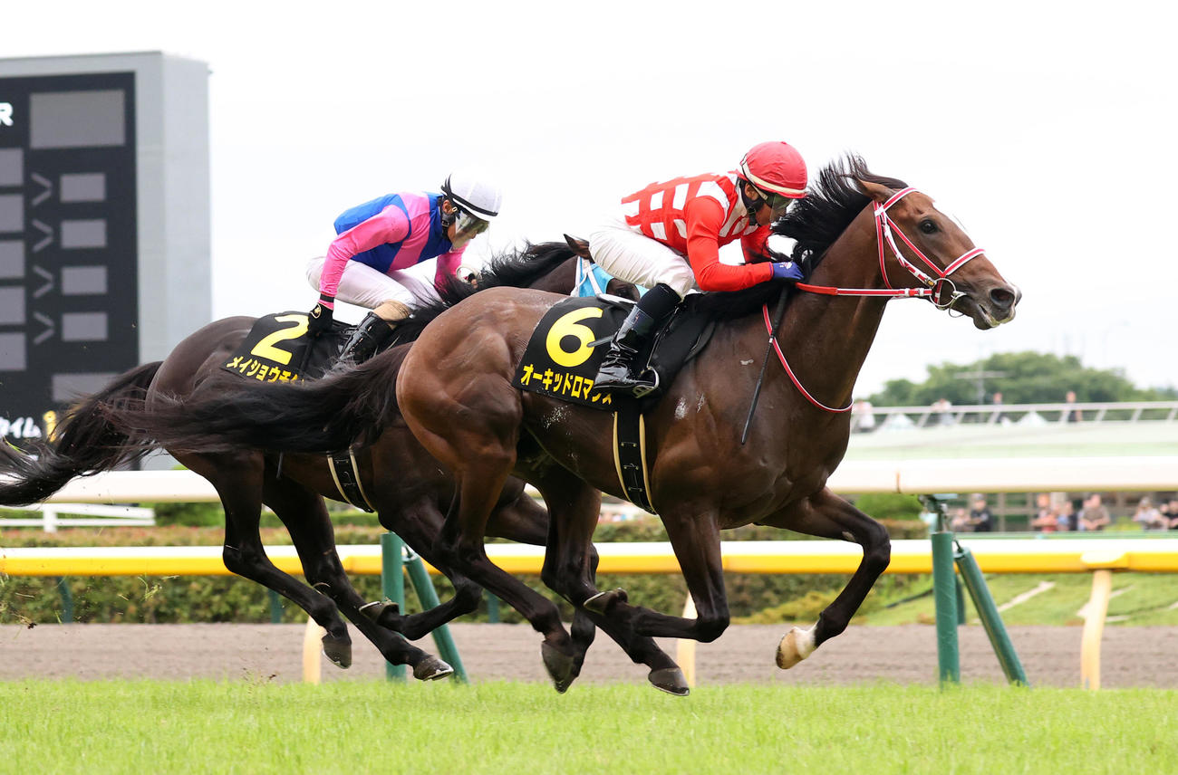 東京11R、パラダイスSを制したオーキッドロマンスと内田騎手（撮影・柴田隆二）