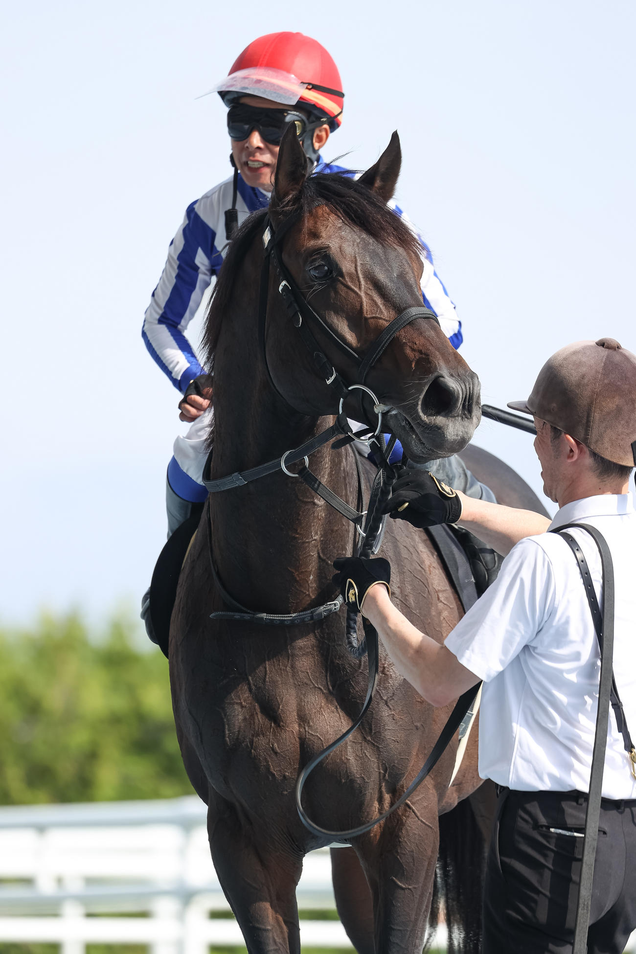 大沼Sを制したサヴァと岩田康騎手（撮影・村野早祐）