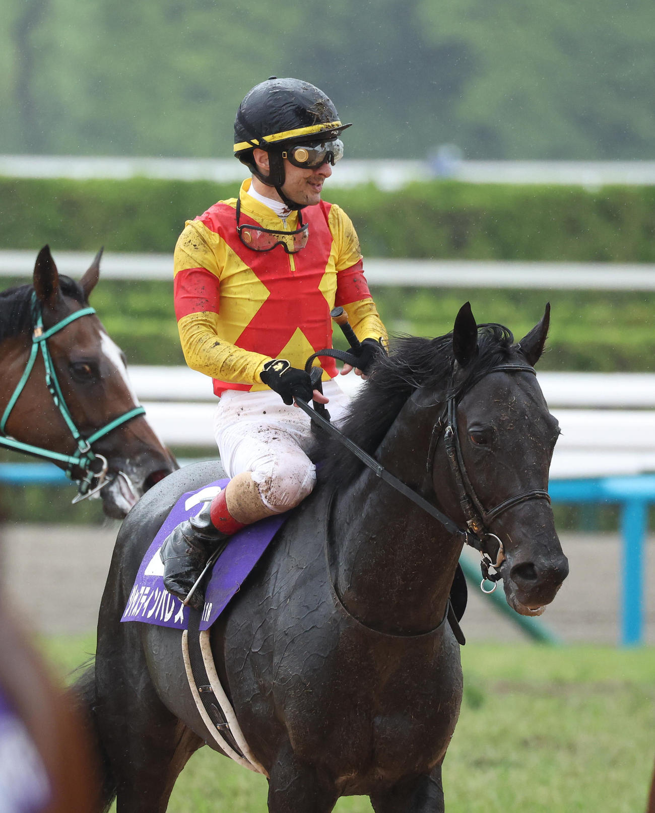 宝塚記念、10着に敗れたジャスティンパレス（2024年6月23日撮影）