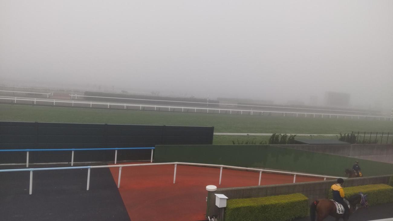 馬場開場から霧に包まれた函館競馬場