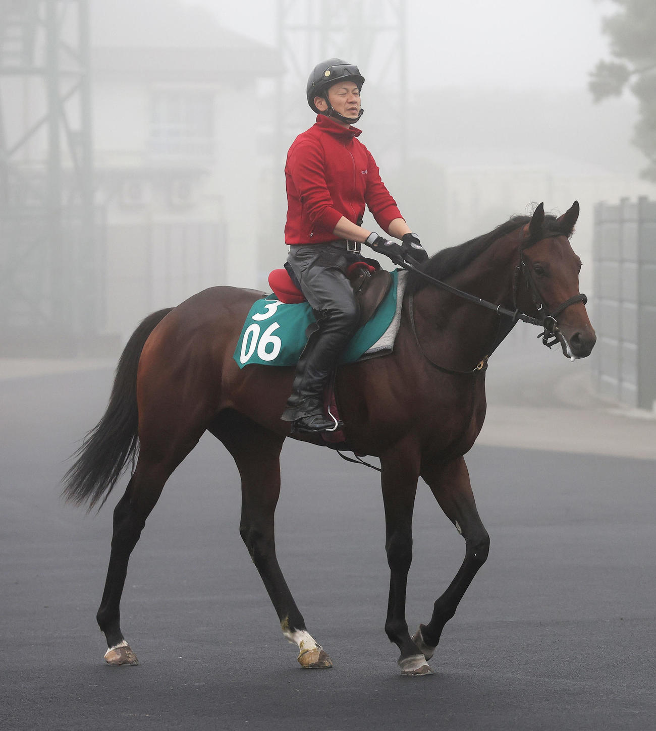 函館競馬場で調整を積むセイフウサツキ