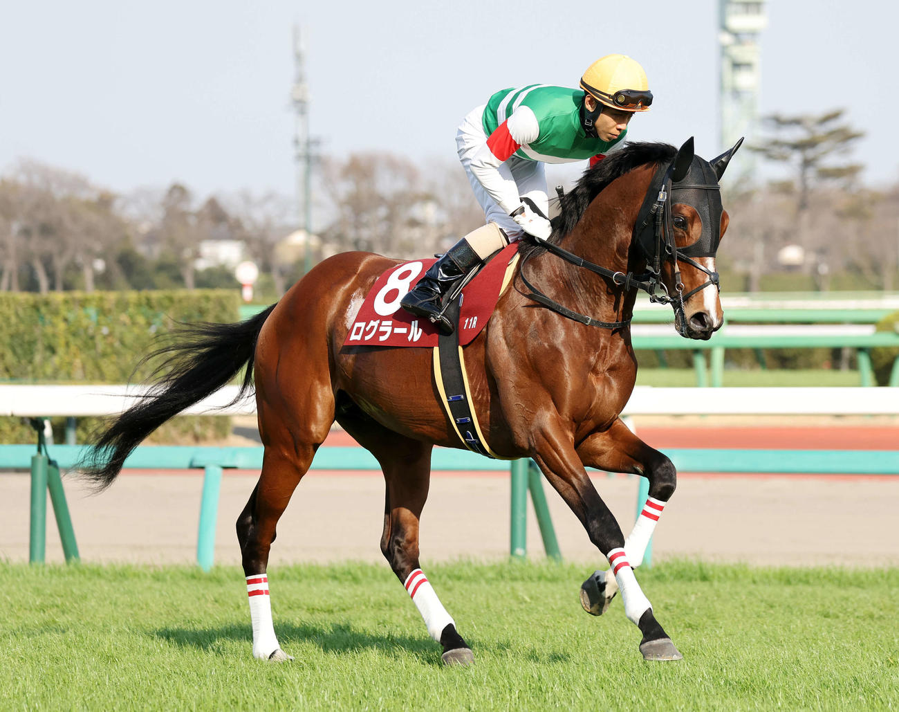 ログラール（2024年3月撮影）