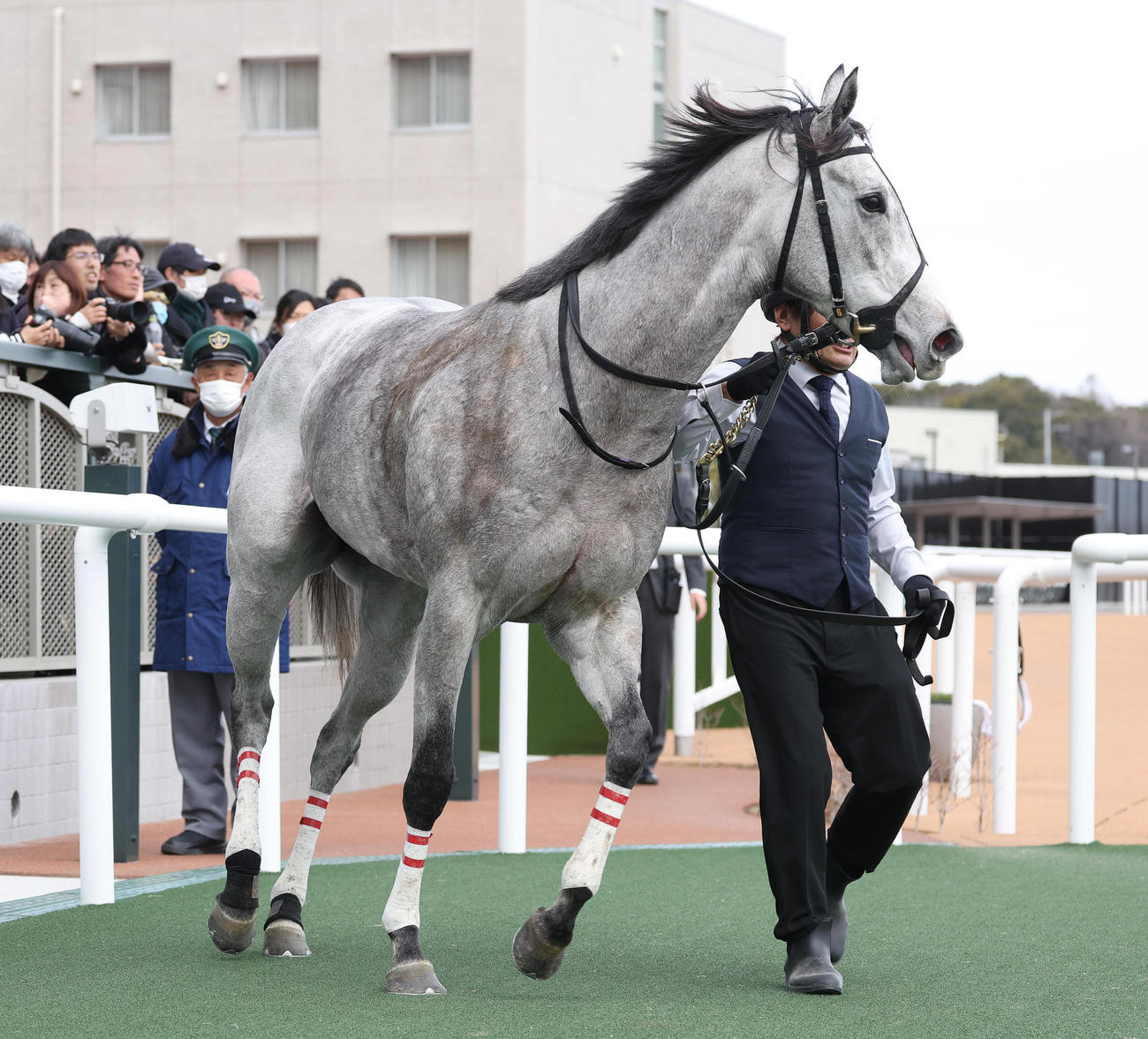 グランテスト（2024年2月撮影）