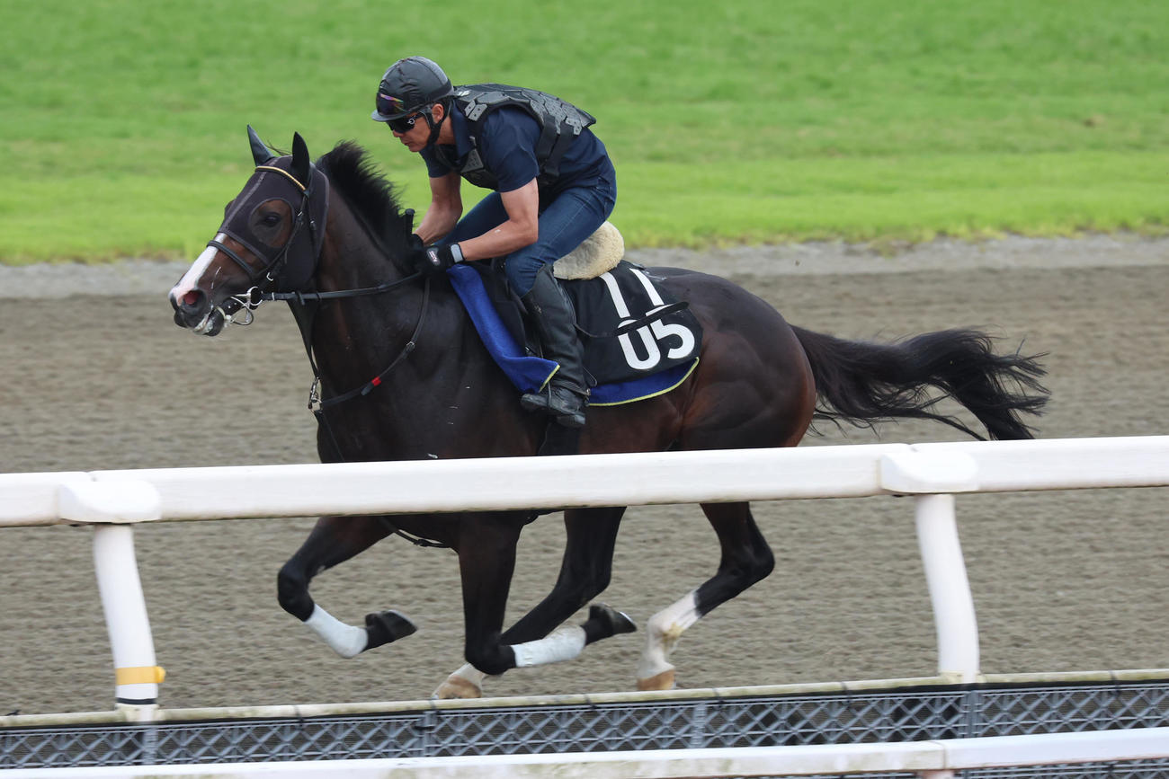 馬ナリで時計を出したミナデオロ