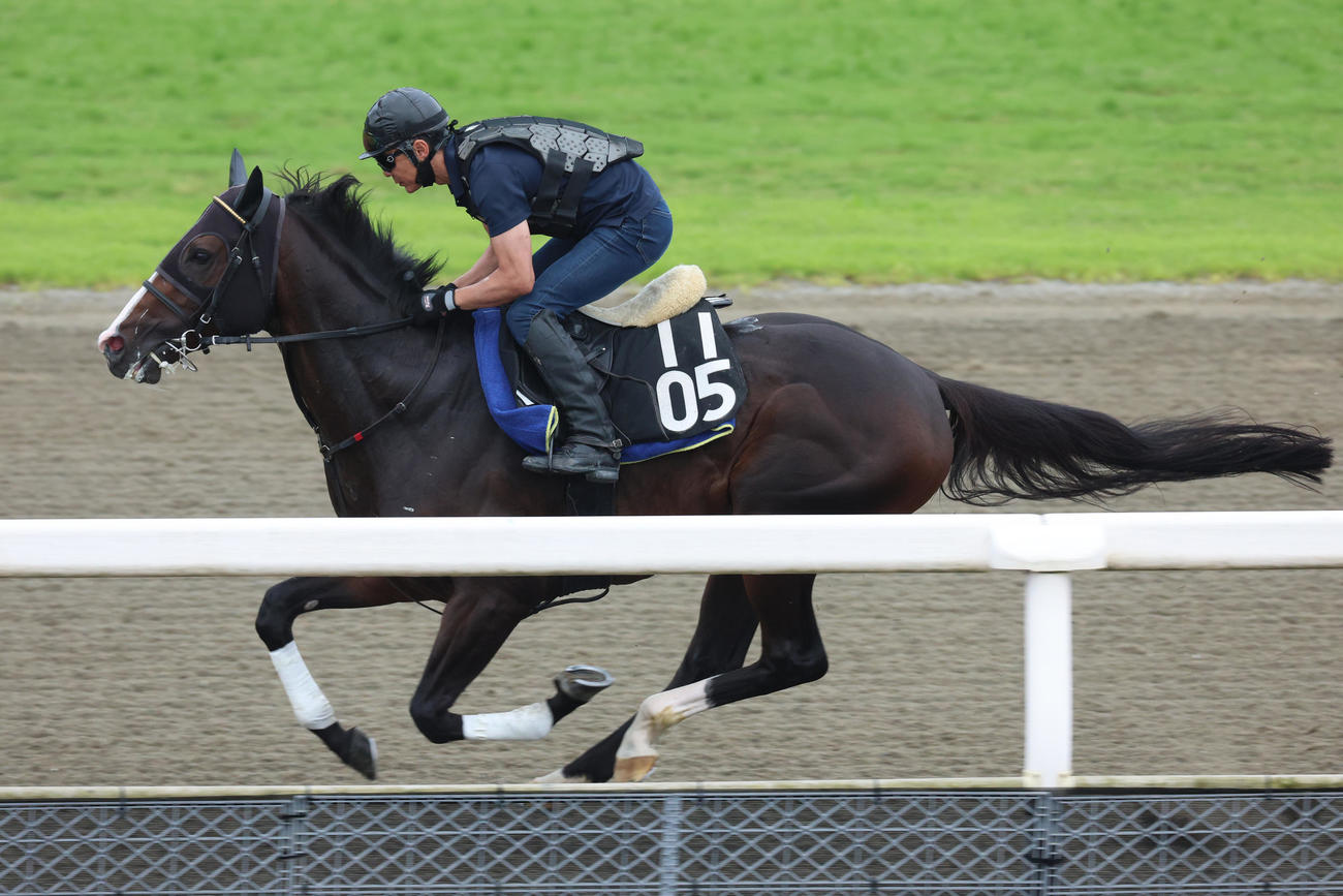 馬ナリで時計を出したミナデオロ