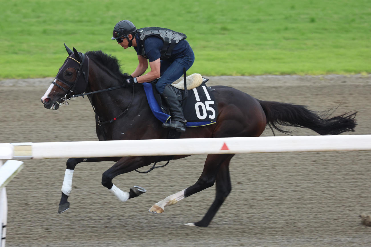 馬ナリで時計を出したミナデオロ