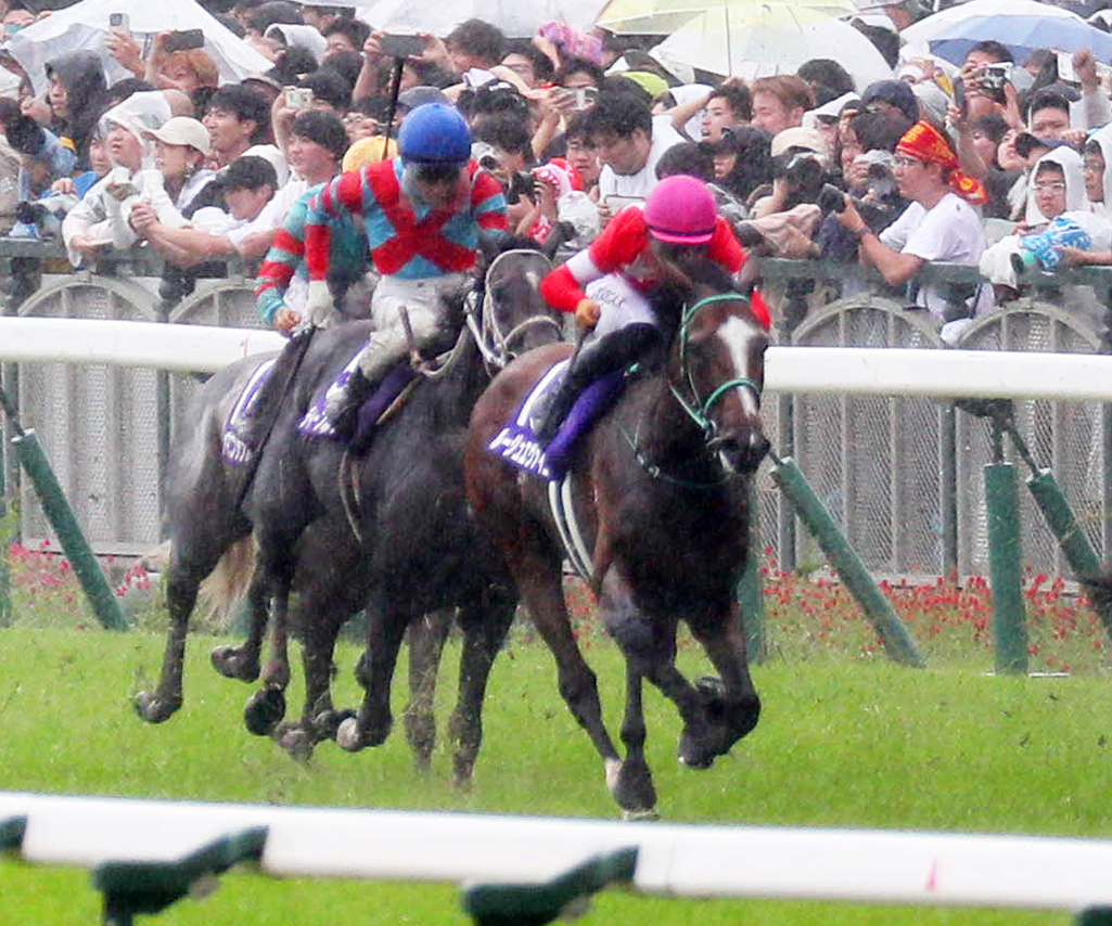 宝塚記念8着に敗れたルージュエヴァイユ