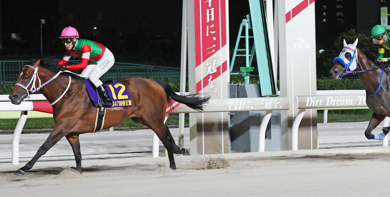 帝王賞を制したキングズソードと藤岡騎手（撮影・中島郁夫）