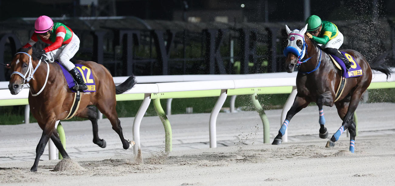 帝王賞2着に敗れたウィルソンテソーロと川田騎手（右）。左は勝ったキングズソード（撮影・中島郁夫）