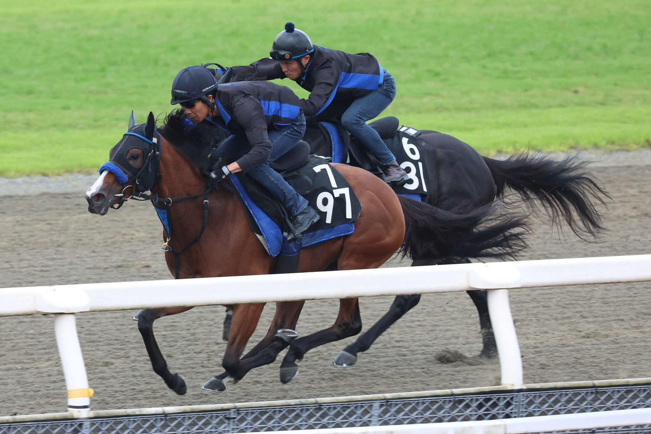ポリトラックで併せ馬に先着するナナオ（左）。右はソルアマゾン