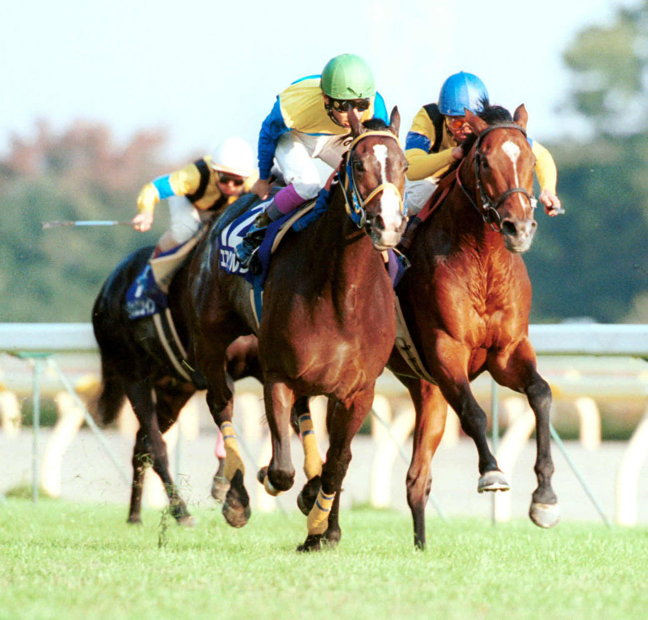 天皇賞・秋でバブルガムフェロー（右）との激戦を競り勝ったエアグルーヴ（97年10月26日撮影）