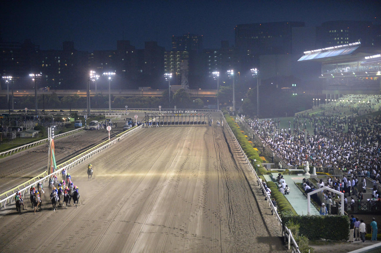 大井競馬場（2013年7月撮影）