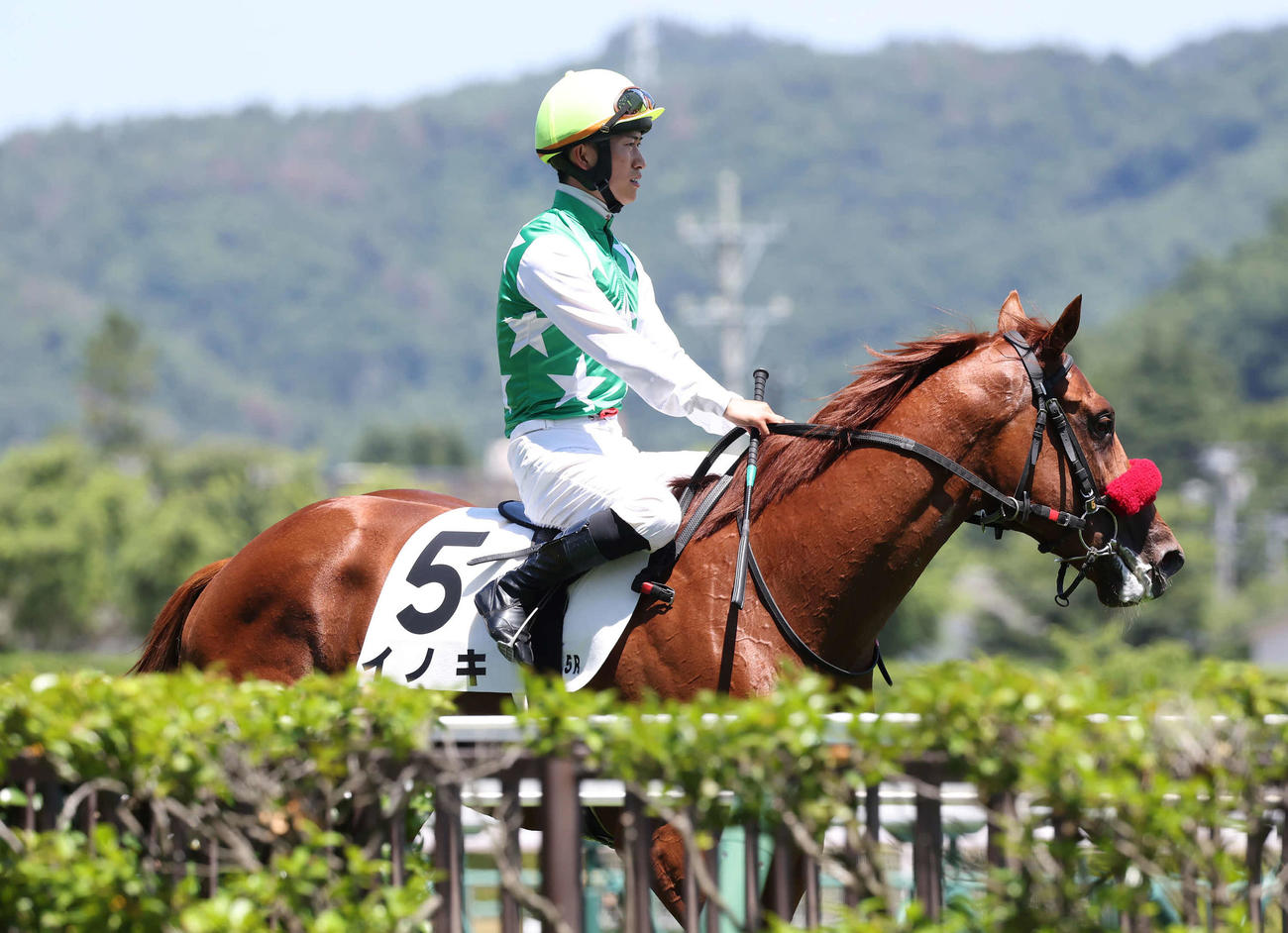 福島5R、デビュー戦で4着に敗れたイノキと菅原明騎手（撮影・丹羽敏通）