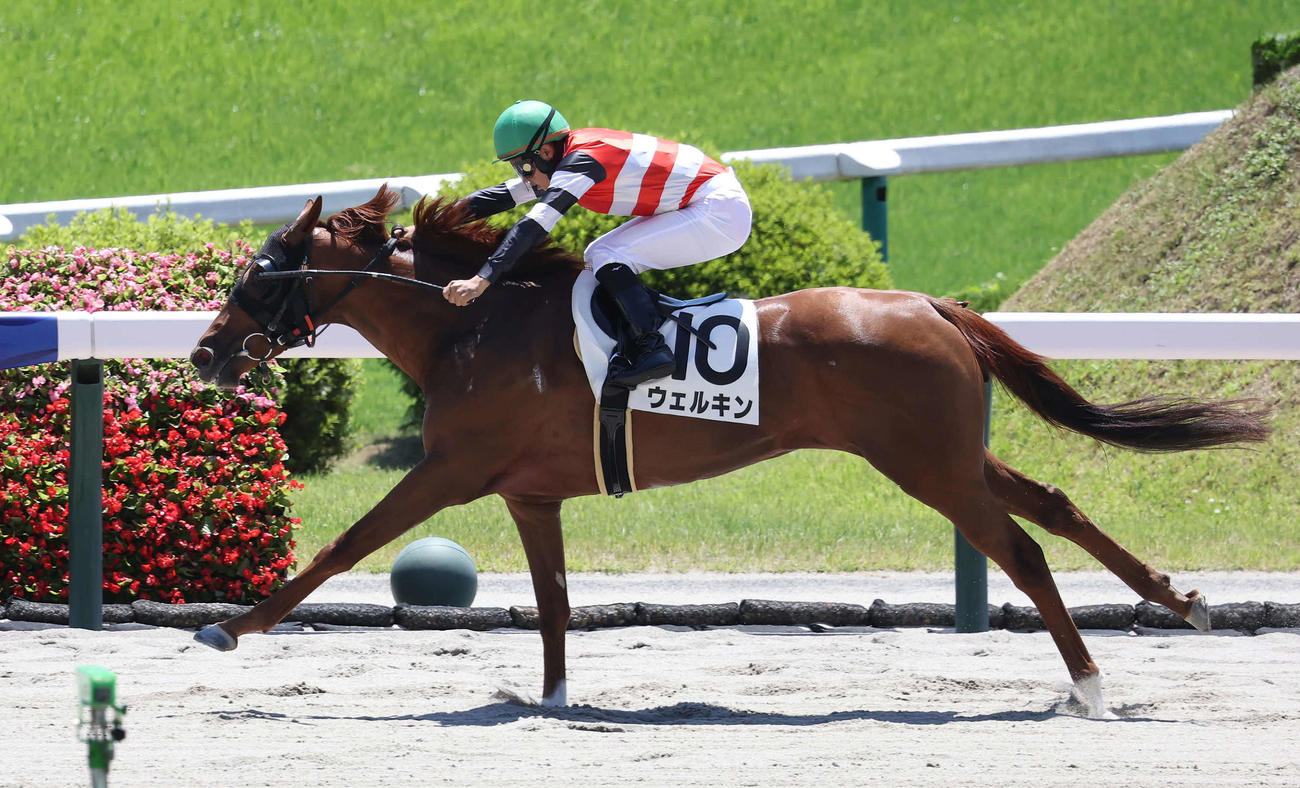 福島2R、3歳未勝利戦を制したウェルキンと石田騎手（撮影・丹羽敏通）