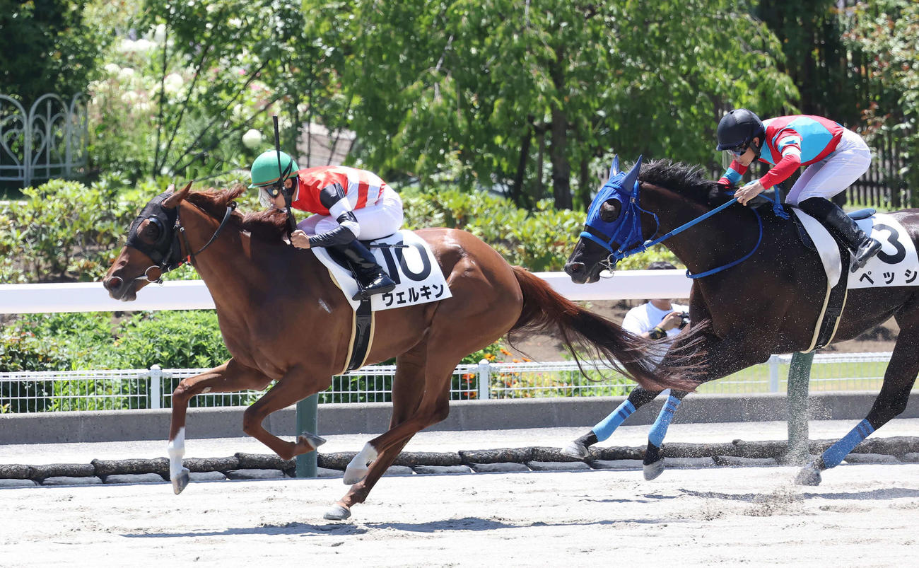 福島2R、3歳未勝利戦を制したウェルキンと石田騎手（左）（撮影・丹羽敏通）