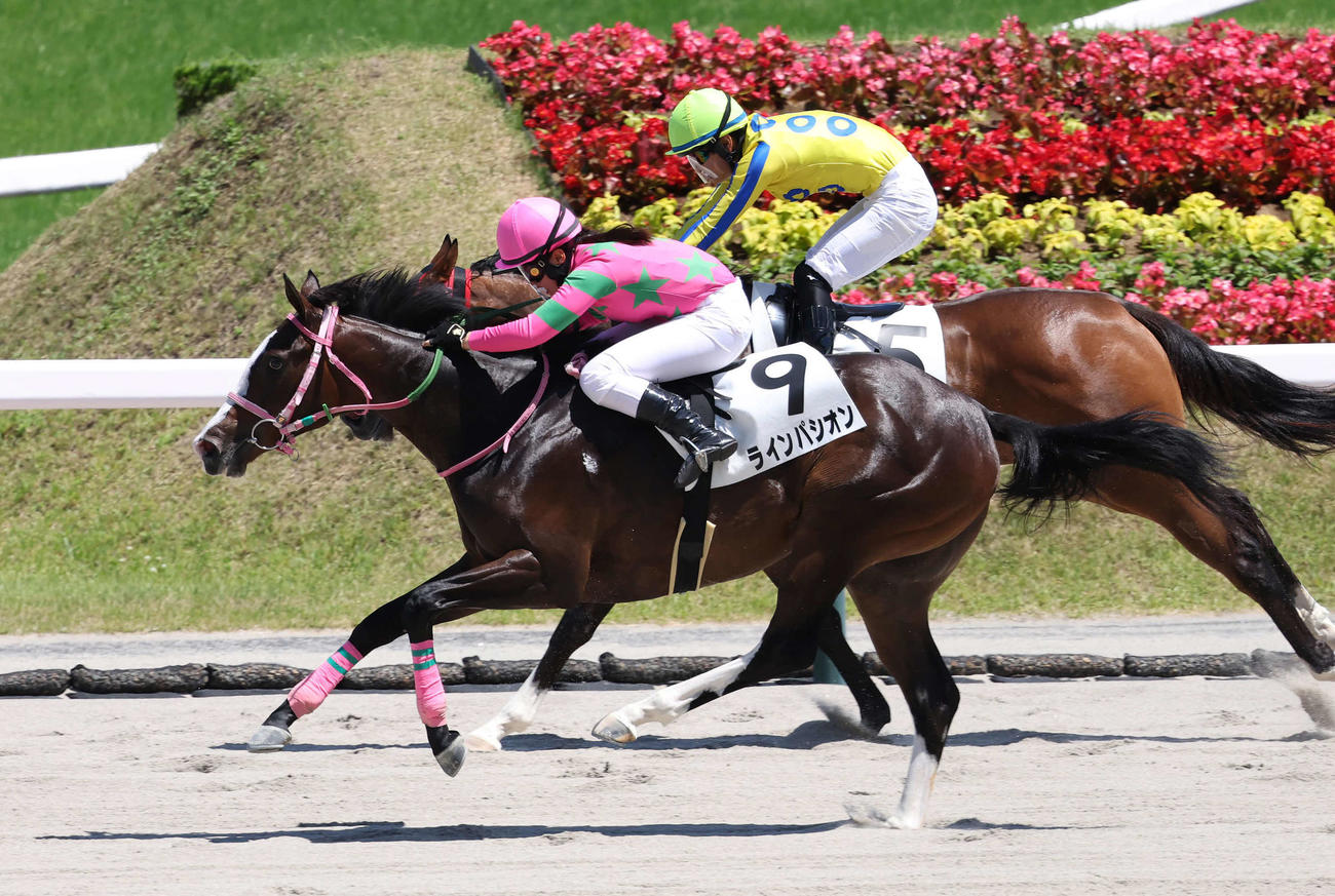 福島6R新馬戦を制したラインパシオンと大江原比騎手（手前）（撮影・丹羽敏通）