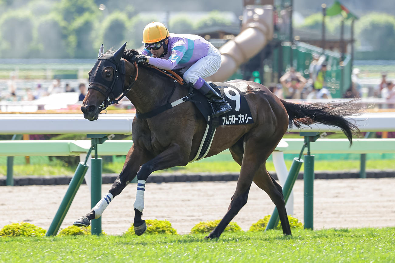 長万部特別を制したナムラローズマリーと武豊騎手（撮影・村野早祐）