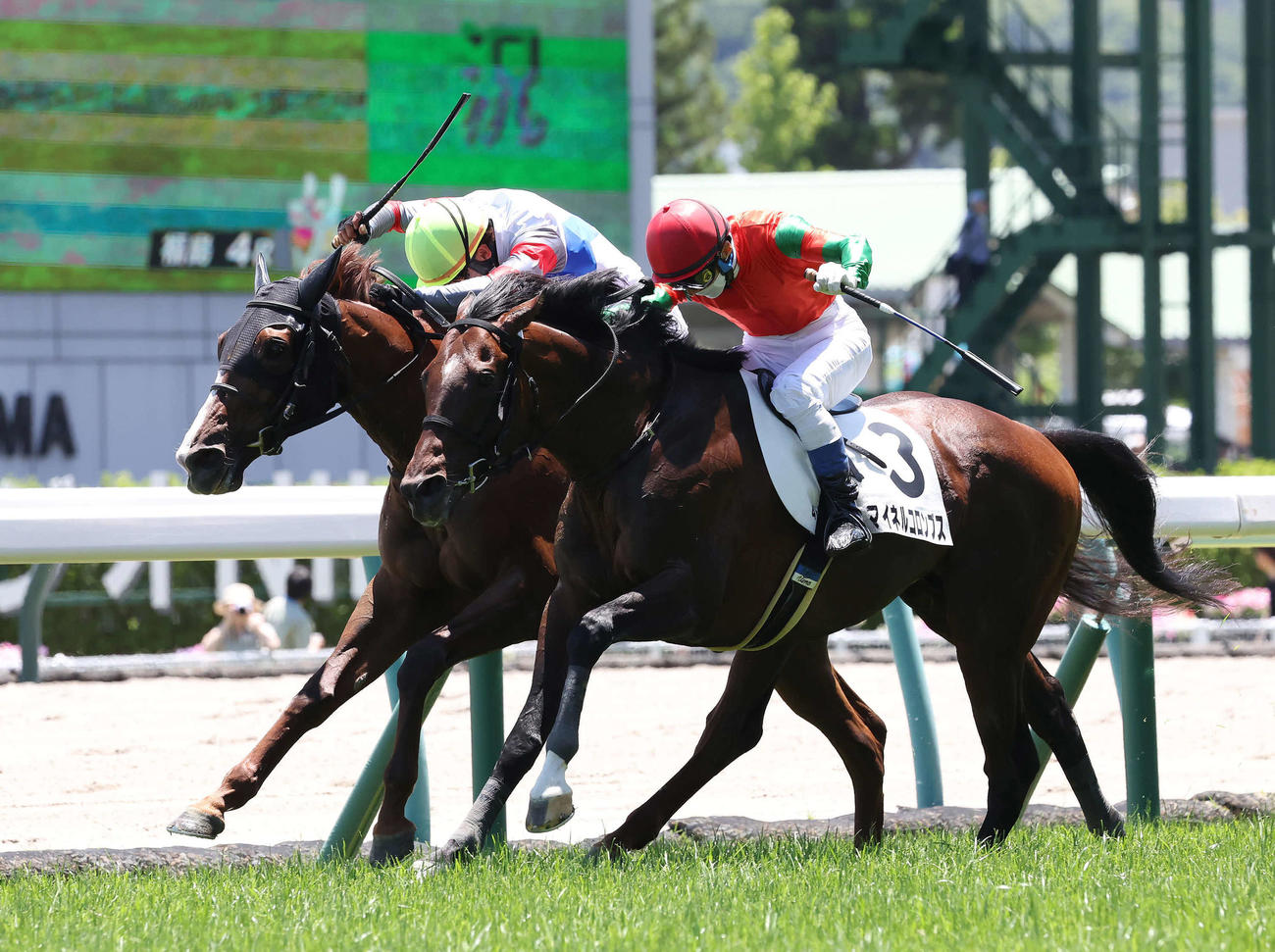 福島4R、障害3歳上未勝利戦を制したマイネルコロンブスと上野騎手（手前）（撮影・丹羽敏通）